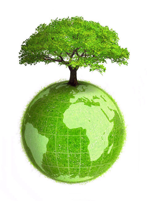 曝氣池污泥，污泥老化，判斷和解決污泥老化