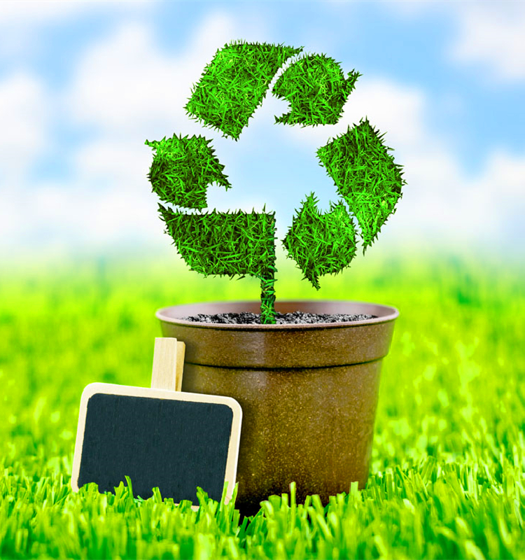 污水處理，氣候變化，二氧化碳排放，白皮書