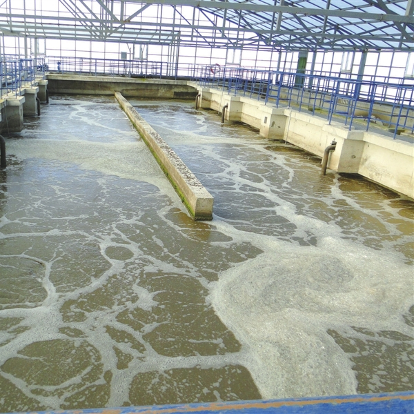 1633934465648878.jpg 39_副本2.jpg